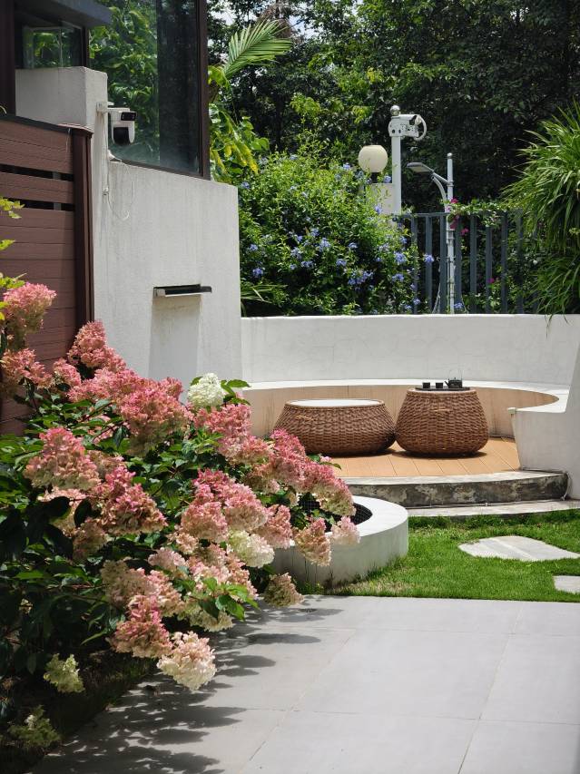 大理安安的花园