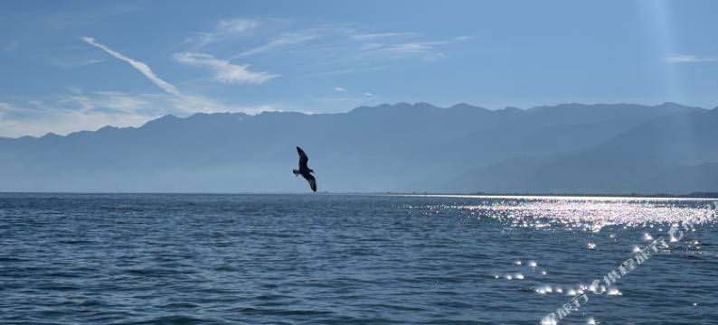 大理慢海卓悦·MAN HAI设计师酒店(大理高铁站洱海公园店)图片