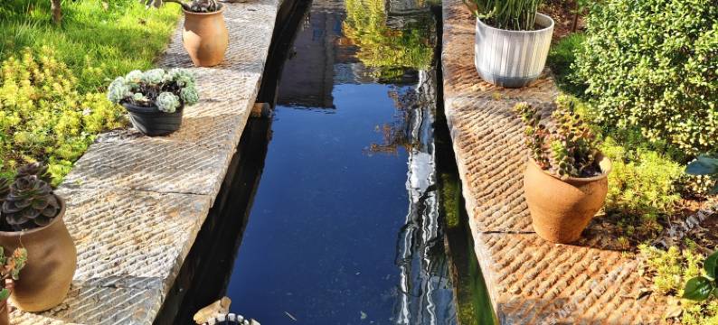 彝龙苑智能民宿(异龙湖店)图片