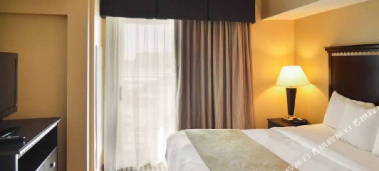 达拉斯沃思堡国际机场舒适套房酒店(Comfort Suites DFW Airport)图片