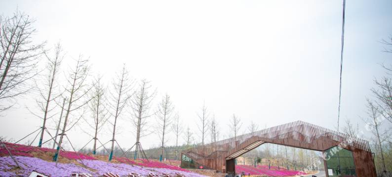 伊川建业绿色基地图片