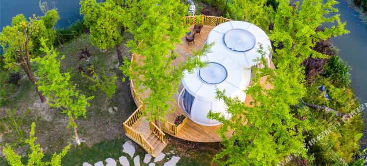 南通森迪部落树屋图片