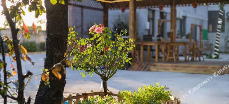 山舍酒店(华山景区售票处店)图片