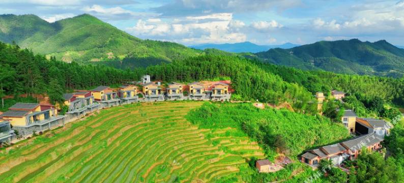 崇义木梓排民宿图片