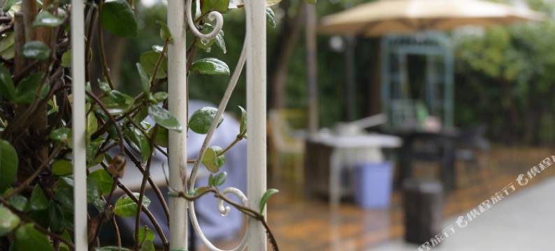 上海东樟记民宿图片