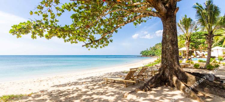 兰塔宫海滩度假村及水疗中心(Lanta Palace Beach Resort & Spa - Adult Only)图片