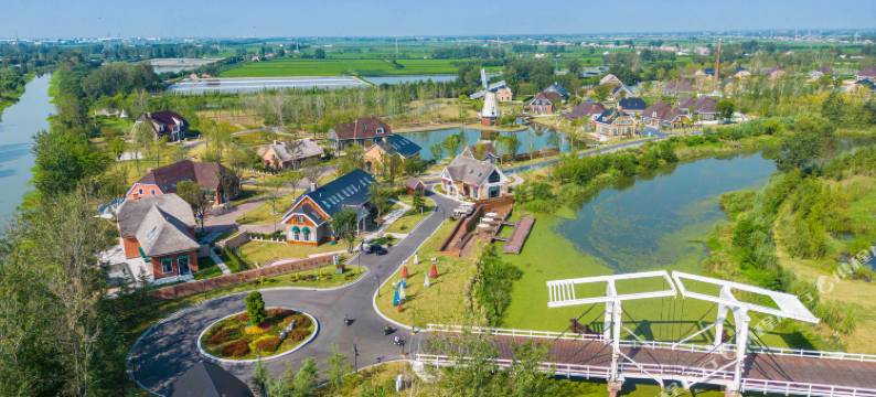 大龙岛湖岸·若里度假村图片