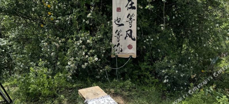 东驿青年旅社图片