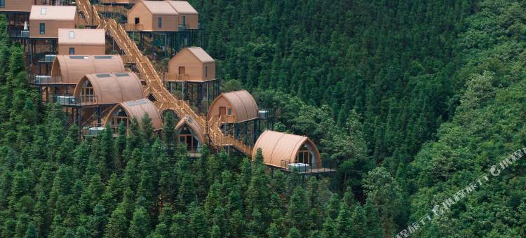 柳州三江观茶·山境度假Villa图片