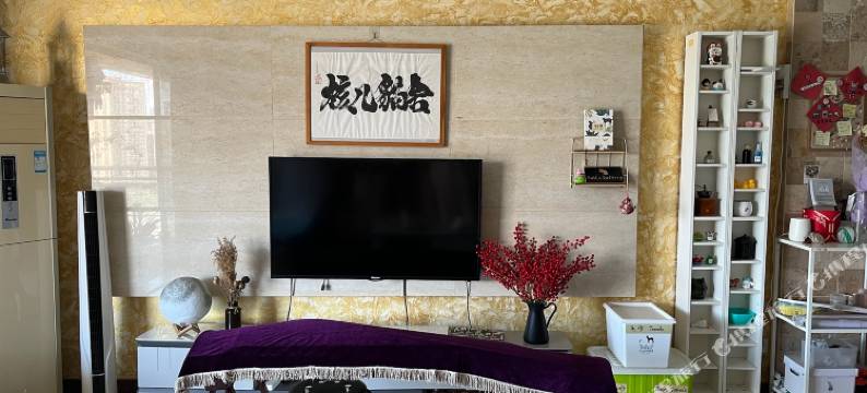 深圳核儿猫舍民宿图片