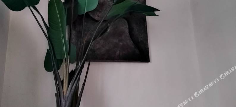 江油北柚民宿图片