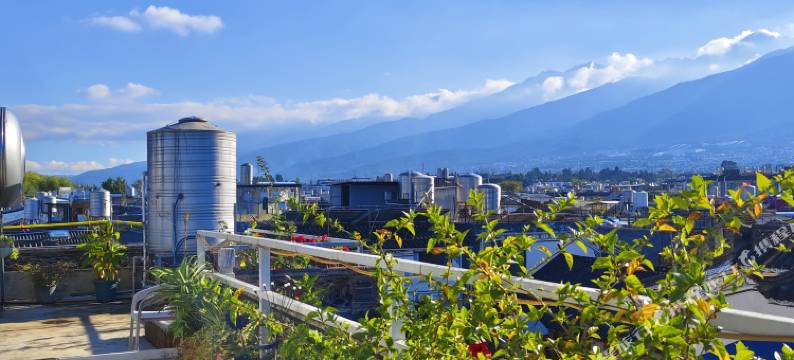 行走的花儿客栈(大理古城洱海门店)图片