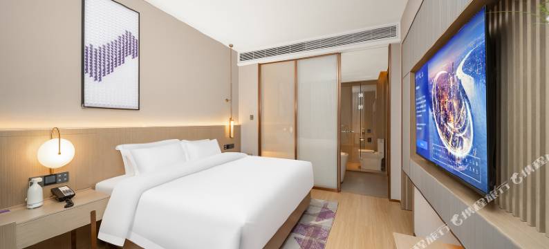 麗枫酒店(湖南省人民政府铁道学院站店)图片