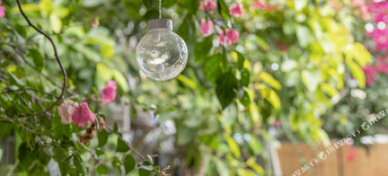 厦门2号公社图片