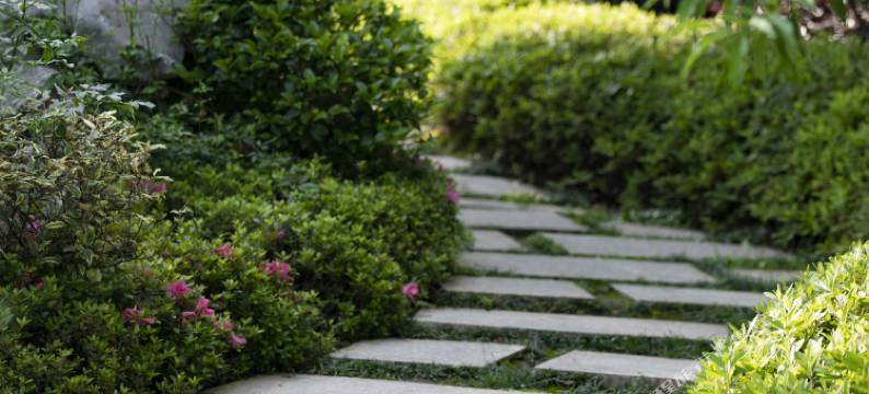 婺源探花·森氧秘境酒店图片