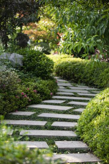 婺源探花·森氧秘境酒店