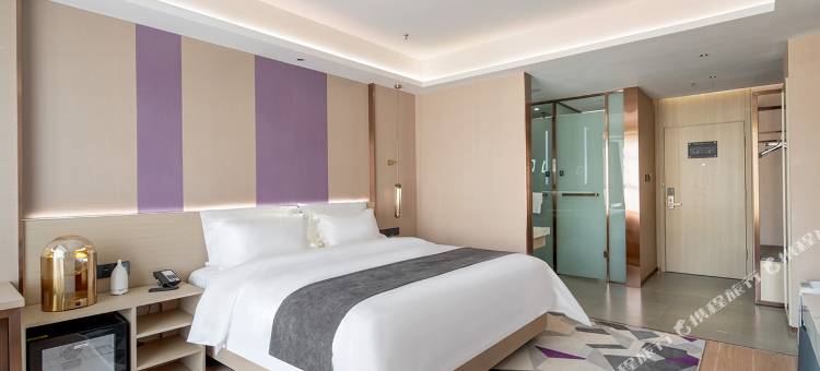 麗枫酒店(呼和浩特市政府中心东站店)图片