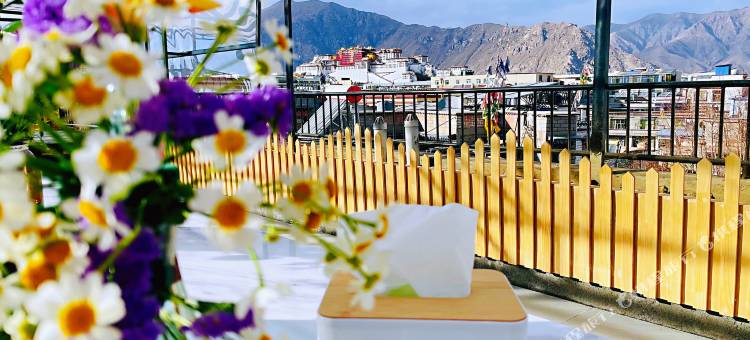 日咖夜酒・遇见藏地・青年旅舍(大昭寺布达拉宫观景店)图片