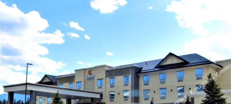 舒适套房酒店(Comfort Inn & Suites)图片