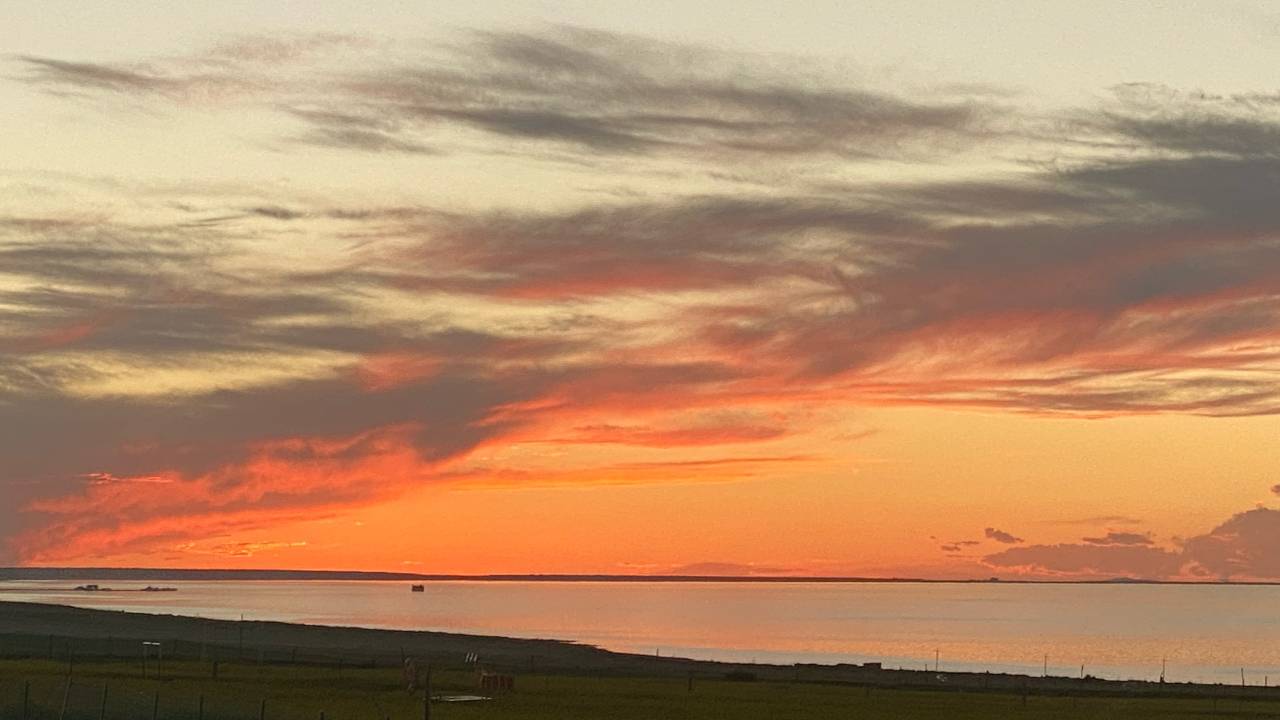 青海湖白马青莲客栈图片
