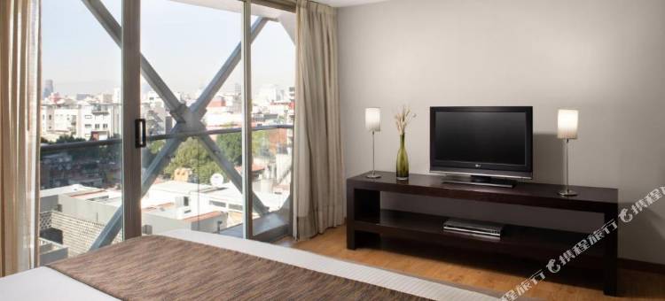 欧洲之星套房酒店(Exe Suites Reforma)图片