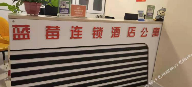 蓝莓连锁酒店公寓(临沂海联国际广场店)图片
