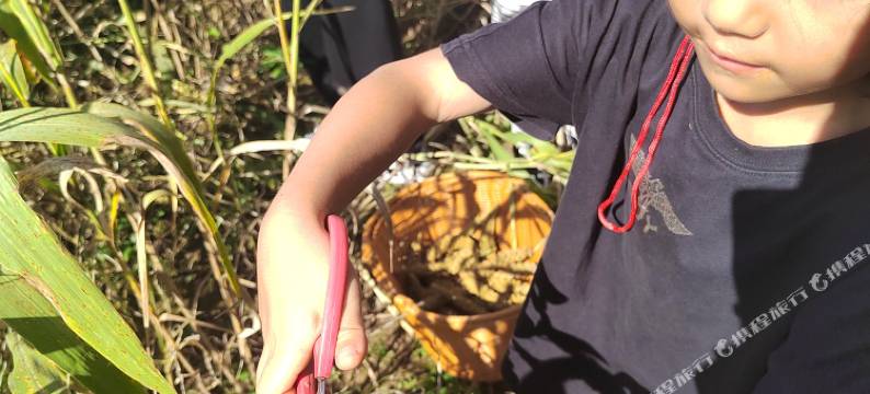 百了一宿(武家湾景区店)图片