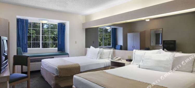 棕榈海岸 I-95 温德姆麦客达套房酒店(Microtel Inn & Suites by Wyndham Palm Coast I-95)图片