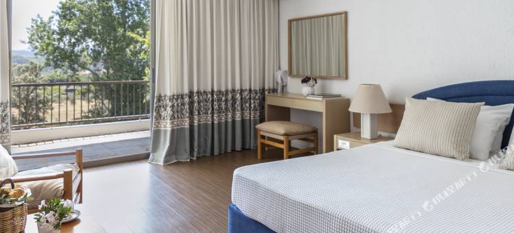 奥林匹亚阿玛利亚酒店(Amalia Hotel Olympia)图片