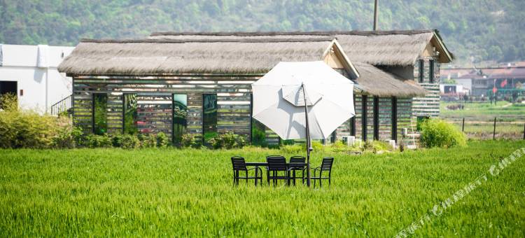 黄梅袁夫稻田villa|设计师HarvestCoffee民宿图片