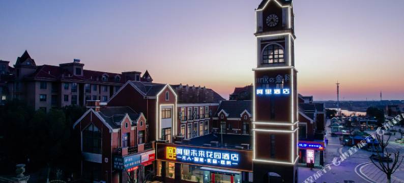 阿里未来花园酒店(梅冲湖地铁站店)图片