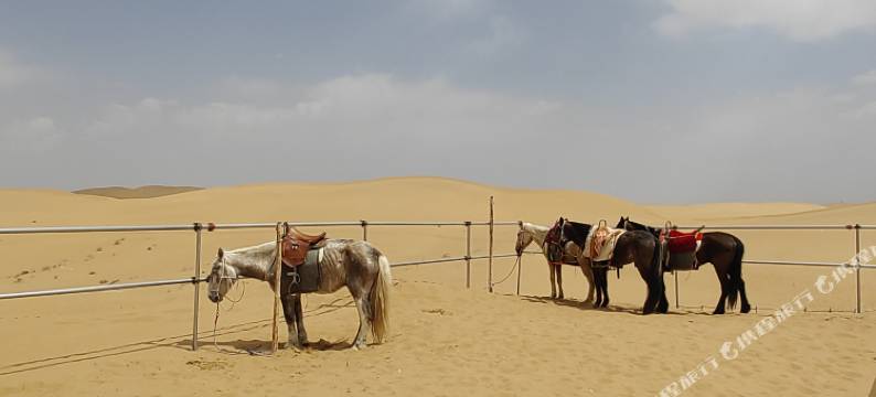 腾格里沙漠沙之缘露营地图片