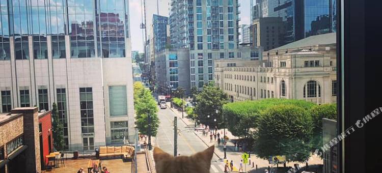 纳什维尔市中心 Moxy 酒店(Moxy Nashville Downtown)图片