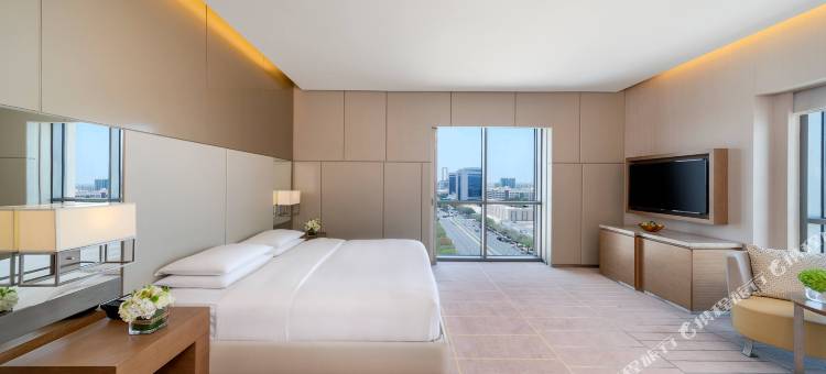 迪拜河高地凯悦酒店(Hyatt Regency Dubai Creek Heights)图片