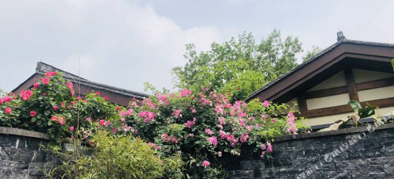 峨眉山观景温泉汤屋图片