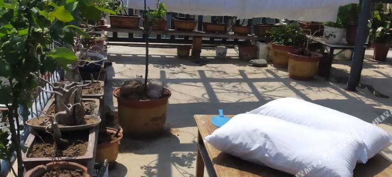 泰安六间房客栈图片