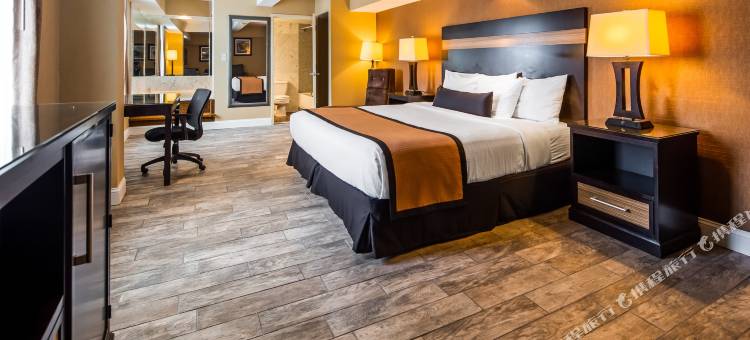 纽瓦克机场贝斯特韦斯特优质酒店(Best Western Plus Newark Airport West)图片