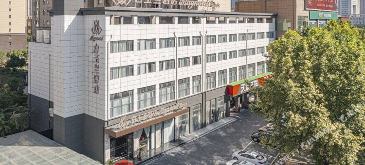 白玉兰酒店(洛阳市政府龙门高铁站店)图片