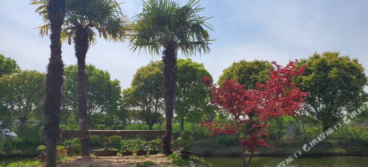 无锡蠡湖小时光客栈图片