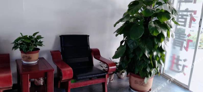 楚雄金康宾馆图片