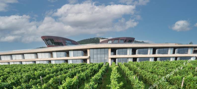 逃牛岭度假酒庄图片