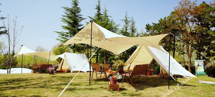 太白山唐镇·诗唐花颂温泉度假酒店图片