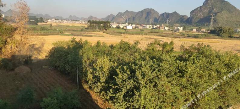 柳城中心酒楼图片