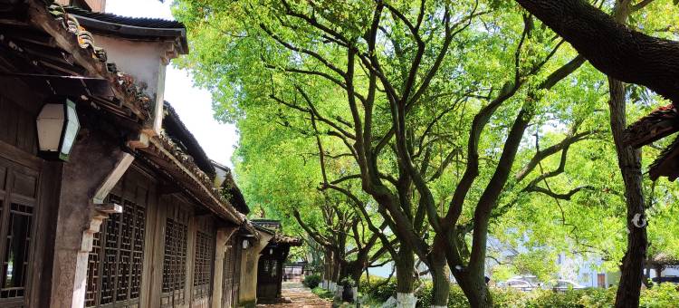 乌镇两府客栈图片