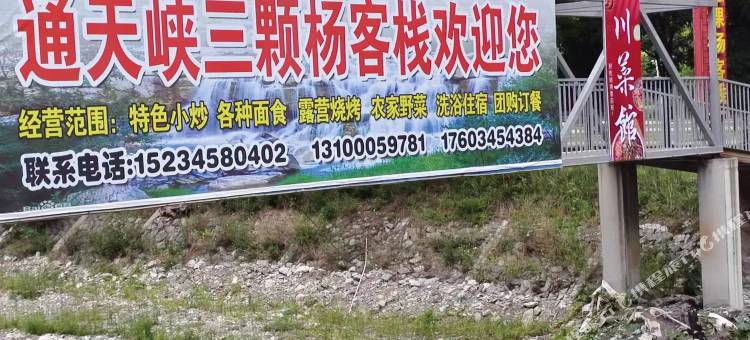 三棵杨客栈图片