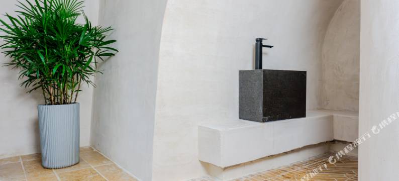 万澳庭院后瀛野奢民宿(临潼店)图片