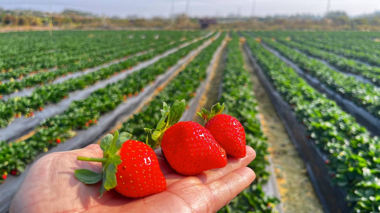 米仓小筑民宿图片