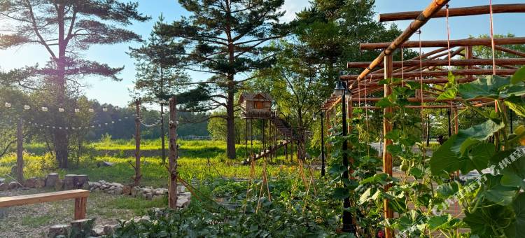 北极村伊格里木屋图片