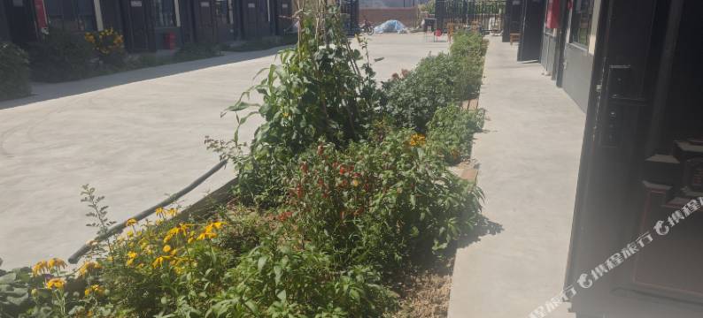 布尔津月见居民宿(冲乎尔镇店)图片