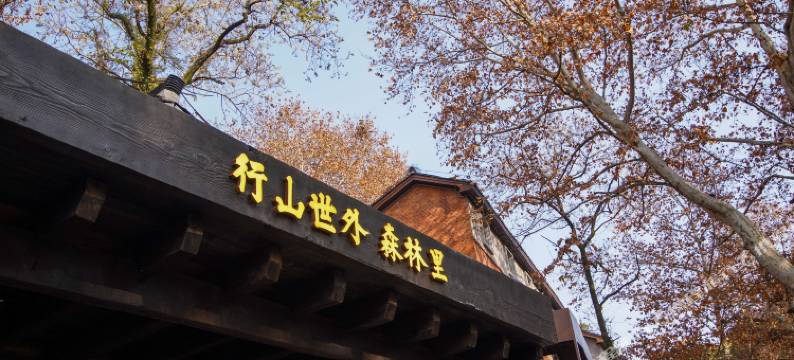 景德镇行山世外·森林里图片